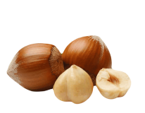 Four hazelnuts